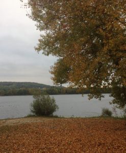 Spot 12 Moisson
