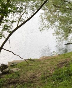 Spot 4 Moisson